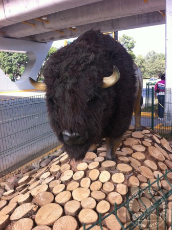 Parte de los nuevos atractivos en León son estas figuras animadas, las cuales se encuentran en la entrada al camino al zoo de León. Cabe mencionar que para llegar se puede hacer a través de una ciclovía bastante moderna y segura. 